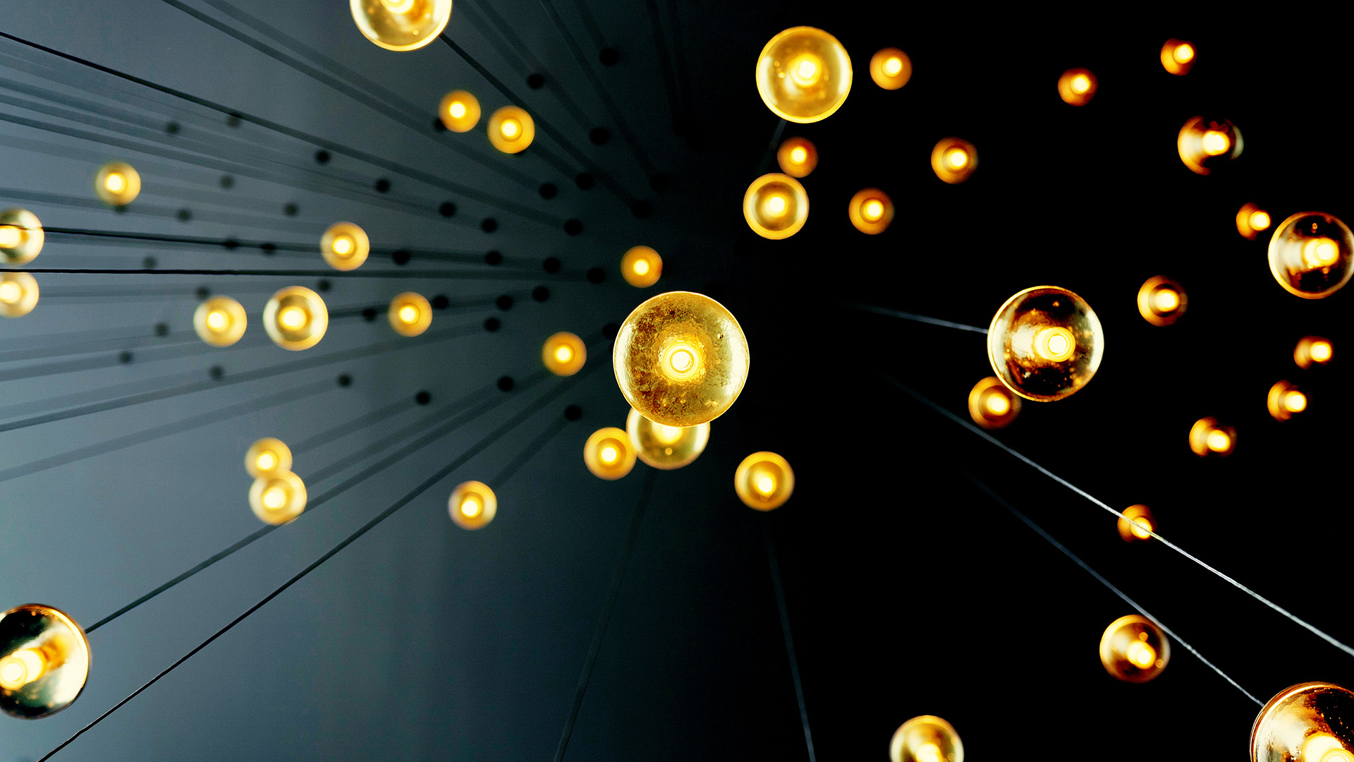 NZ_QMS_Home_Q-Creative_LightFeature