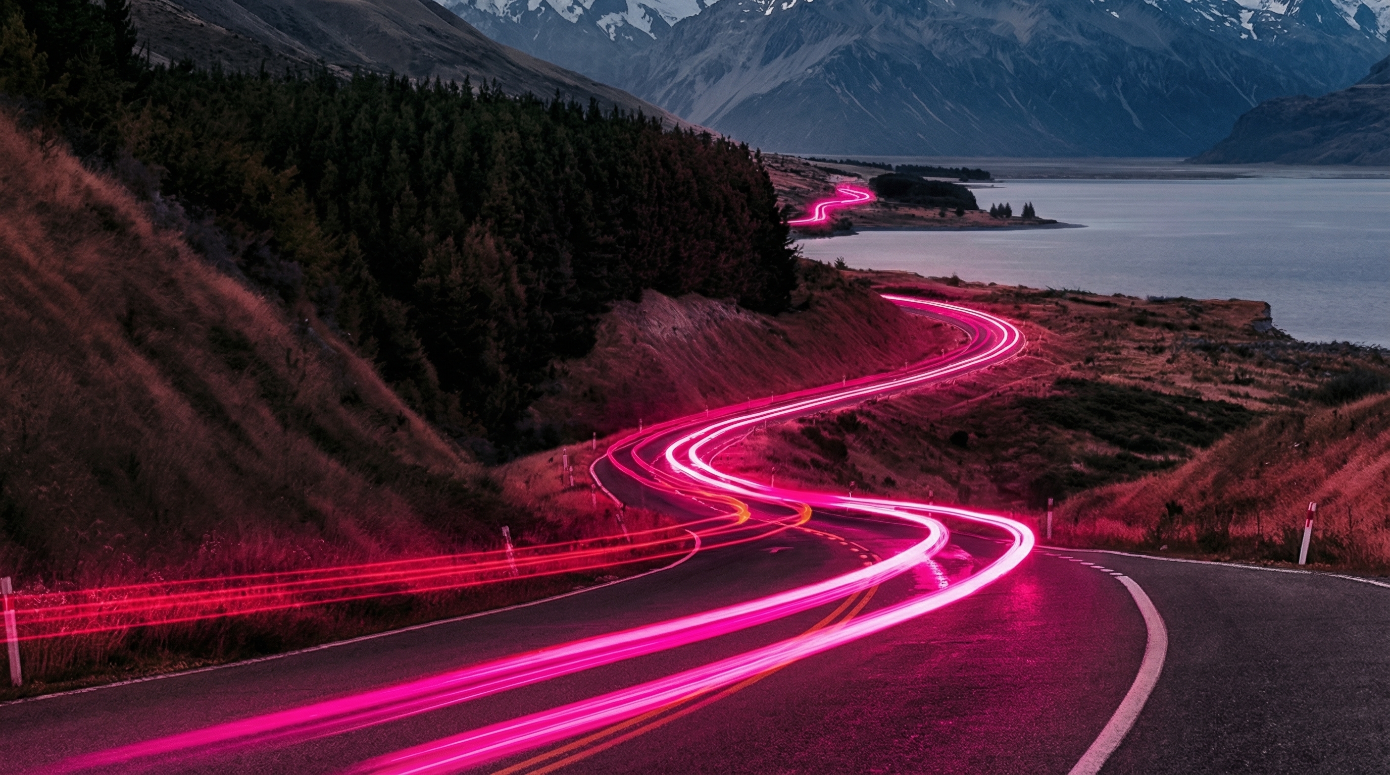 NZ_QMS_Magenta-StreetGlow